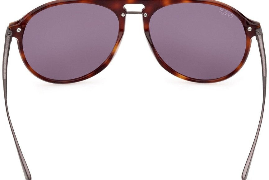 Sunglasses Web WE0345 52A Pilot Havanna