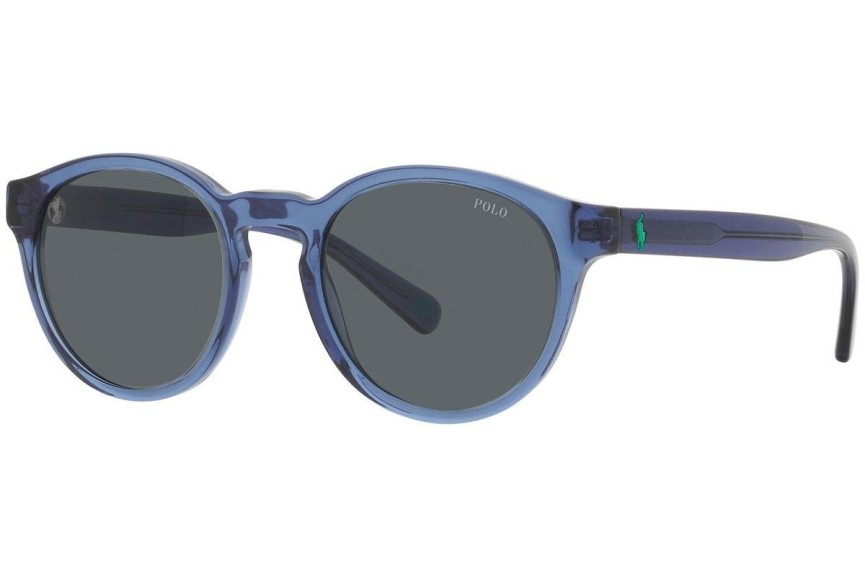 Sunglasses Polo Ralph Lauren PH4192 609287 Rund Blau