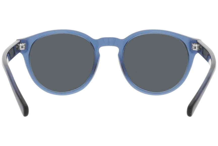 Sunglasses Polo Ralph Lauren PH4192 609287 Rund Blau