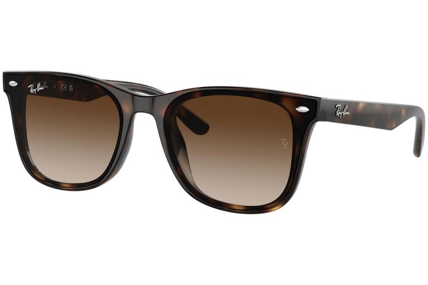 Sunglasses Ray-Ban RB4420 710/13 Quadratisch Havanna