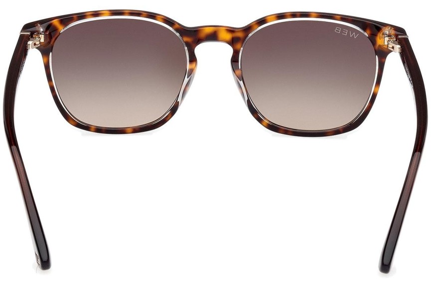 Sunglasses Web WE0364 56B Rund Havanna