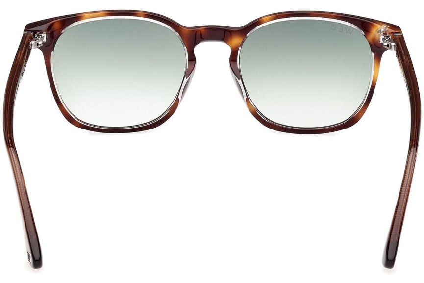 Sonnenbrille Web WE0364 56P Rund Havanna