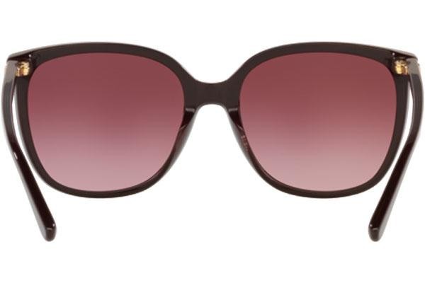 Sunglasses Michael Kors Anaheim MK2137U 33448H Quadratisch Lila