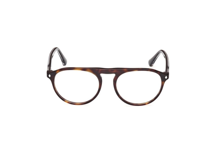 Glasses Web WE5429 055 Rund Havanna