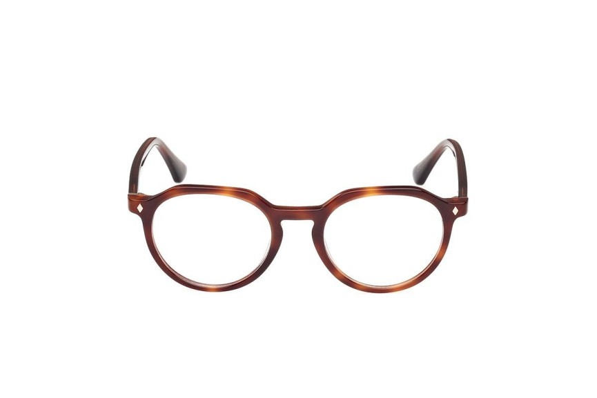 Glasses Web WE5427 056 Rund Havanna