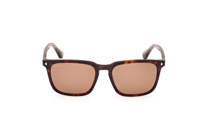 Sunglasses Web WE0369 56E Quadratisch Havanna