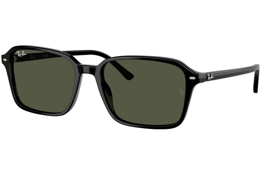 Sunglasses Ray-Ban RB2231 901/31 Quadratisch Schwarz