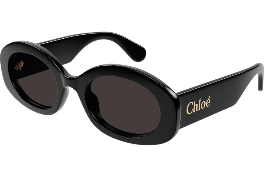 Sonnenbrille Chloe CH0258S 001 Oval Schwarz