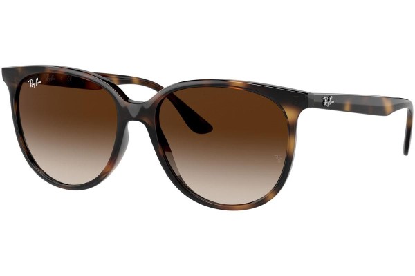 Sunglasses Ray-Ban RB4378 710/13 Quadratisch Havanna