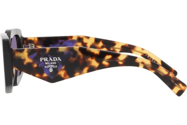 Sunglasses Prada PR15YS 2AU05Q Besondere Havanna