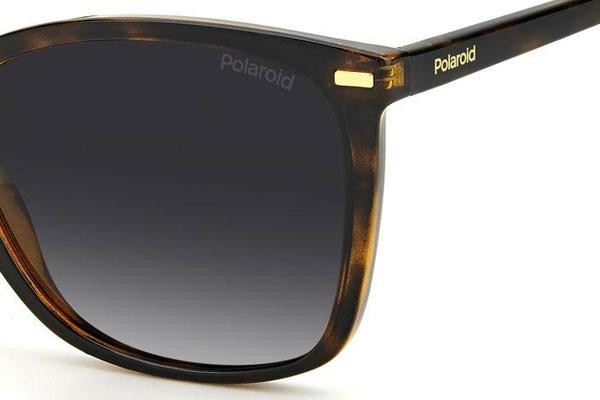 Sonnenbrille Polaroid PLD4108/S 086/LA Polarized Cat Eye Havanna