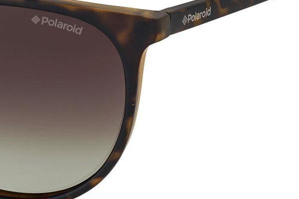 Sonnenbrille Polaroid PLD6003/N/S V08/LA Polarized Rund Havanna