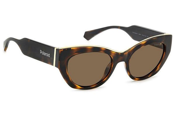 Sunglasses Polaroid PLD6199/S/X 086/SP Polarized Cat Eye Havanna