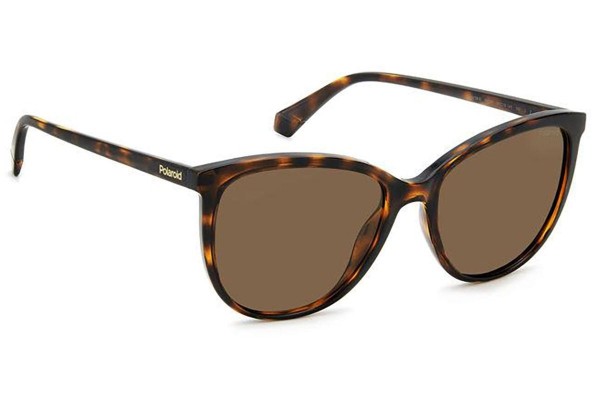 Sonnenbrille Polaroid PLD4138/S 086/SP Polarized Rund Havanna