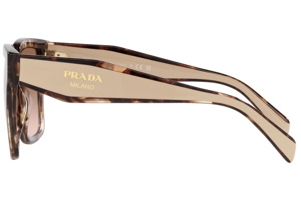 Sunglasses Prada PR24ZS 07R0A6 Quadratisch Havanna