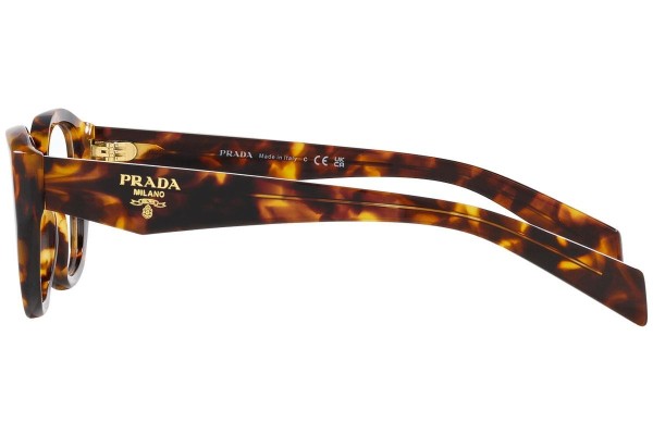 Glasses Prada PR21ZV 14L1O1 Besondere Havanna