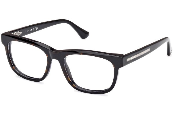 Glasses Web WE5422 056 Rechteck Havanna