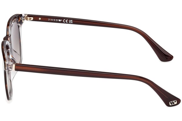 Sunglasses Web WE0364 56B Rund Havanna