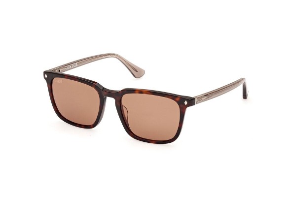 Sunglasses Web WE0369 56E Quadratisch Havanna