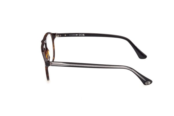 Glasses Web WE5429 055 Rund Havanna