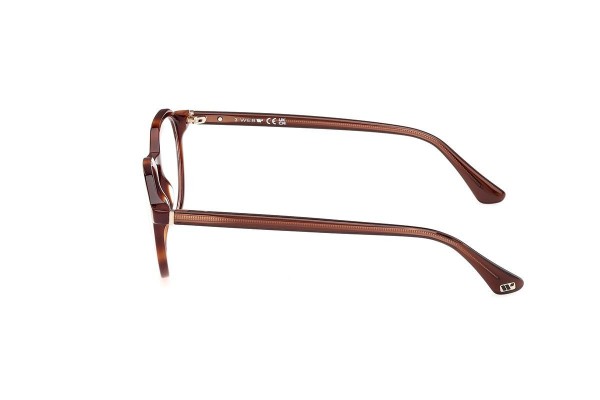 Glasses Web WE5427 056 Rund Havanna