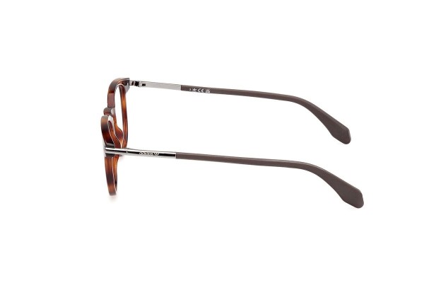 Glasses Adidas Originals OR5083 052 Rund Havanna