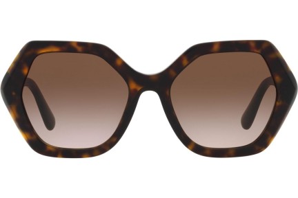 Sonnenbrille Dolce & Gabbana DG4406 502/13 Quadratisch Havanna