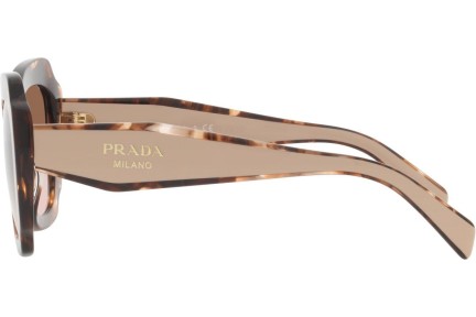 Sunglasses Prada PR16YS 01R0A6 Quadratisch Havanna