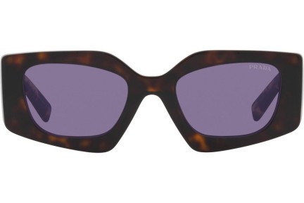 Sunglasses Prada PR15YS 2AU05Q Besondere Havanna