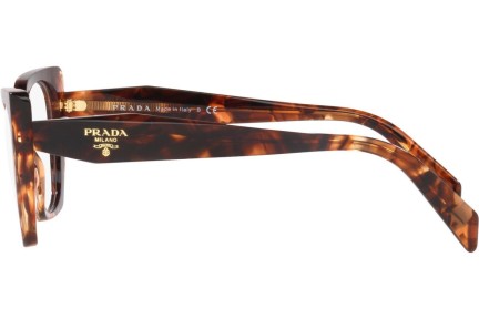 Glasses Prada PR18WV 07R1O1 Quadratisch Havanna