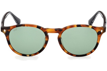 Sunglasses Web WE0328 56N Rund Havanna