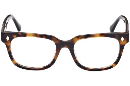 Glasses Web WE5397 052 Quadratisch Havanna