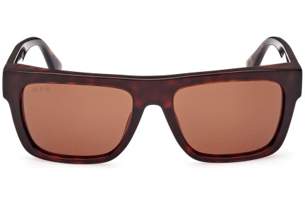 Sunglasses Web WE0334 52E Quadratisch Havanna