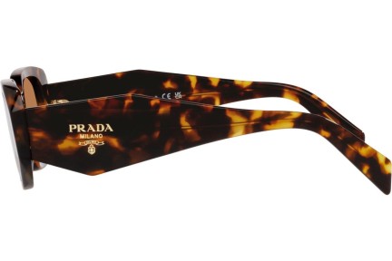 Sonnenbrille Prada PR17WS VAU2Z1 Rechteck Havanna