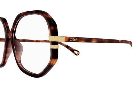 Glasses Chloe CH0107O 004 Quadratisch Havanna