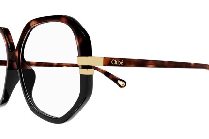 Glasses Chloe CH0107O 001 Quadratisch Havanna