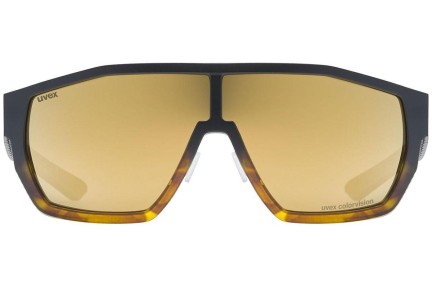 Sonnenbrille uvex mtn style CV 6697 Pilot Havanna