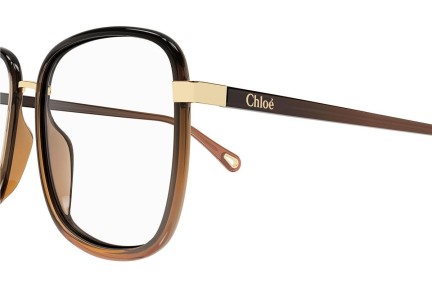 Glasses Chloe CH0034O 009 Quadratisch Braun