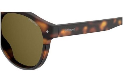 Sunglasses Polaroid PLD6042/S 086/SP Polarized Rund Havanna