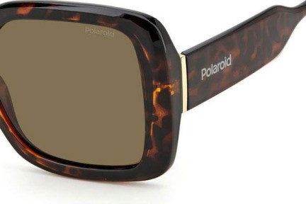 Sonnenbrille Polaroid PLD6168/S 086/SP Polarized Quadratisch Havanna