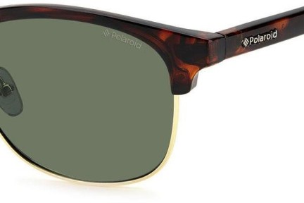 Sonnenbrille Polaroid PLD1012/S PR6/H8 Polarized Browline Havanna