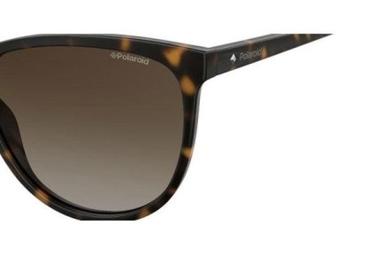 Sunglasses Polaroid PLD4066/S 086/LA Polarized Quadratisch Havanna