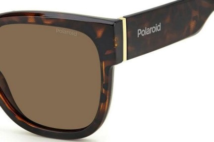 Sunglasses Polaroid PLD6167/S 086/SP Polarized Quadratisch Havanna