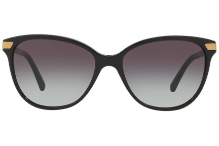 Sunglasses Burberry BE4216 30018G Groß Schwarz