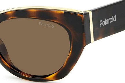 Sonnenbrille Polaroid PLD6199/S/X 086/SP Polarized Cat Eye Havanna