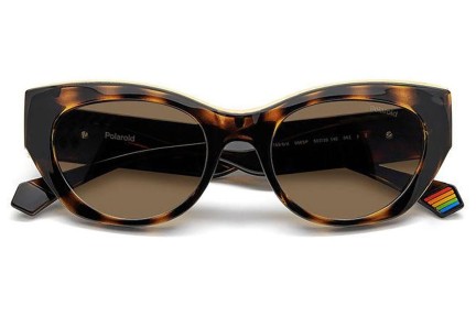 Sunglasses Polaroid PLD6199/S/X 086/SP Polarized Cat Eye Havanna