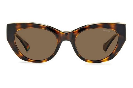 Sonnenbrille Polaroid PLD6199/S/X 086/SP Polarized Cat Eye Havanna