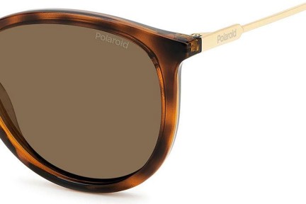 Sonnenbrille Polaroid PLD4143/S/X 086/SP Polarized Rund Havanna