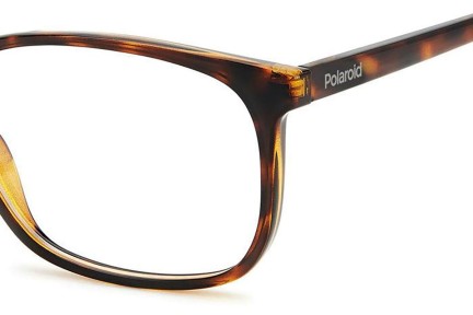 Glasses Polaroid PLDD488 086 Quadratisch Havanna