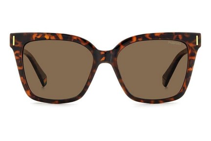 Sunglasses Polaroid PLD6192/S 086/SP Polarized Cat Eye Havanna